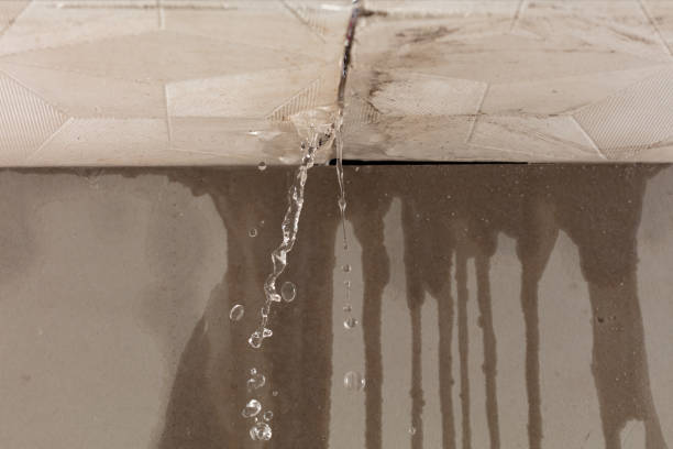 Professional Water Extraction technician working in Hadley, PA